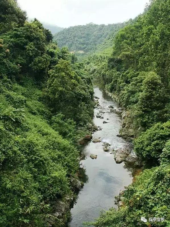 基金公司四季报出炉 浦银安盛旗下基金单季盈利居行业榜首